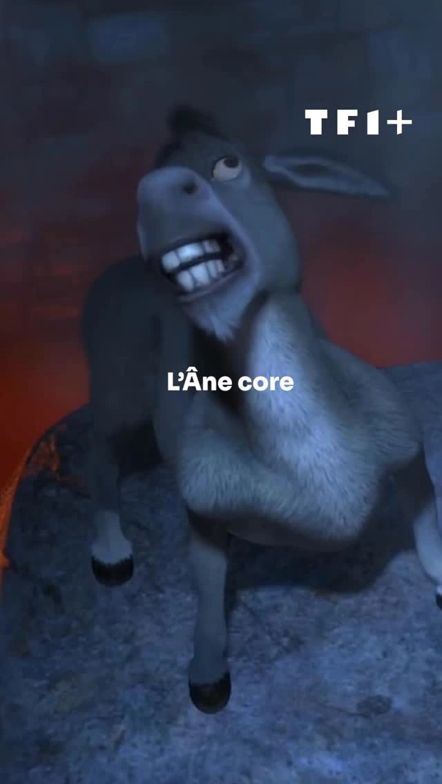 TF1+ · Shrek : l’Âne en vedette